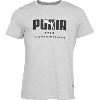 Puma GRAPHICS EXECUTION TEE Pánské tričko, šedá, velikost